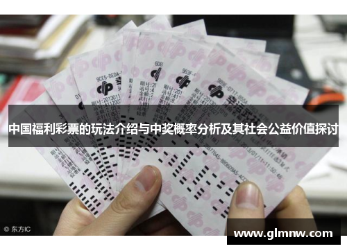 中国福利彩票的玩法介绍与中奖概率分析及其社会公益价值探讨