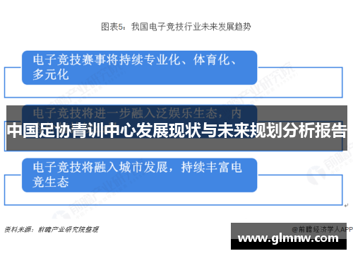 中国足协青训中心发展现状与未来规划分析报告