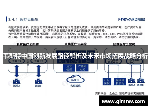 韦斯特中国创新发展路径解析及未来市场拓展战略分析