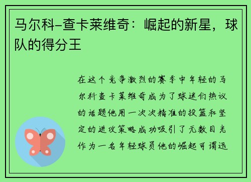 马尔科-查卡莱维奇：崛起的新星，球队的得分王